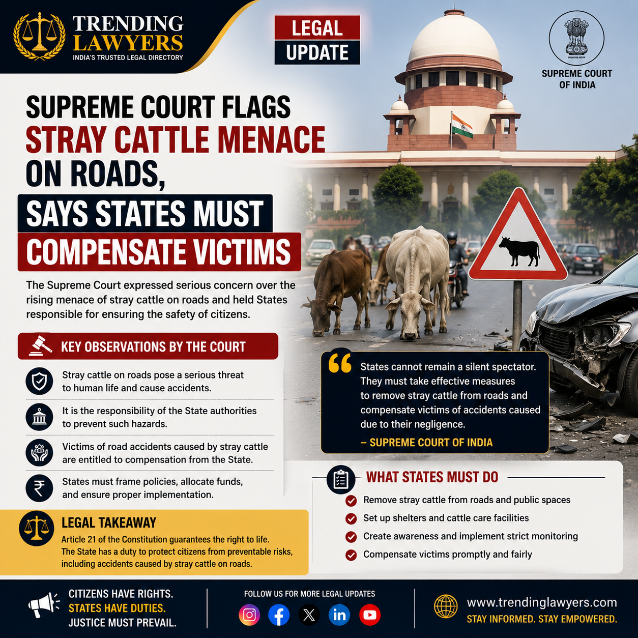 Supreme Court Flags Stray Cattle Menace On Roads, Says States Must Compensate Victims
